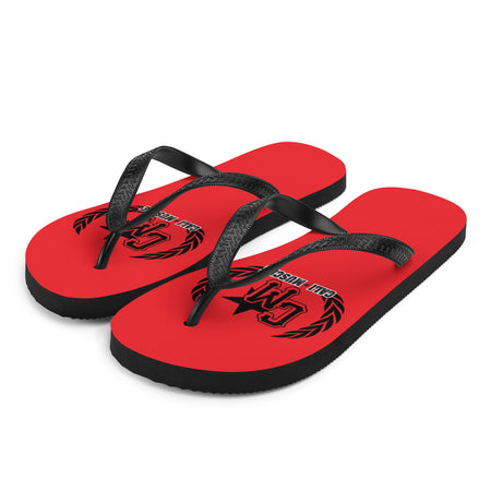 CM Flip-Flops